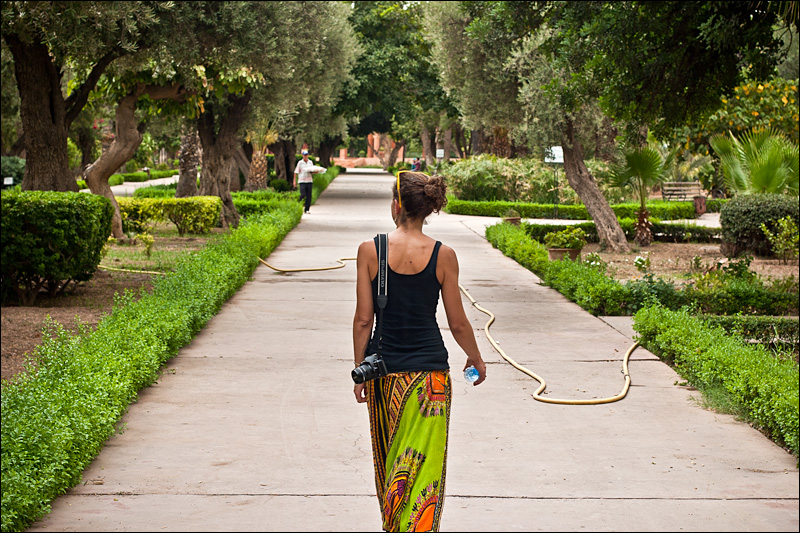 aladdin pants in parc el harti