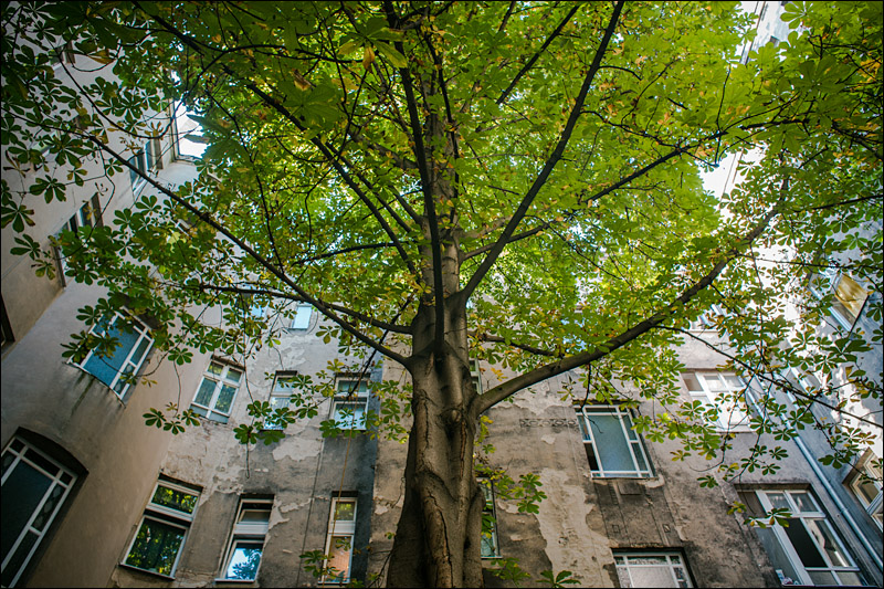 courtyard colour contrast