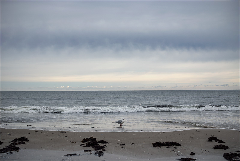 ostsee, 2013