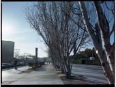 bcn stroll with the mamiya